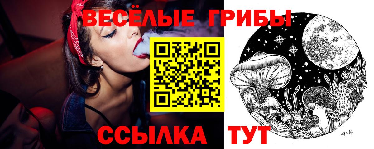 Галлюциногенные грибы GOLDEN TEACHER Чехов