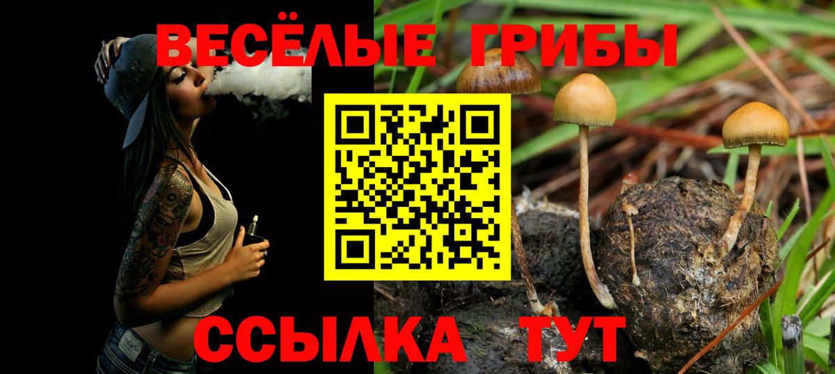 Галлюциногенные грибы ЛСД  Вход с VPN  Чехов  Псилоцибиновые грибы Magic Shrooms 